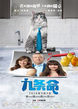 劳拉凭《婚姻故事》获最佳女配 2020-02-10 美国当地时间2月9日晚，第92届奥斯卡金像奖颁奖典礼在在美国洛杉矶杜比剧院举行，劳拉·邓恩凭借《婚姻故事》获得最佳女配局。